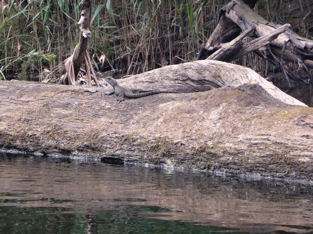 Wonnangatta River Pack Rafting
