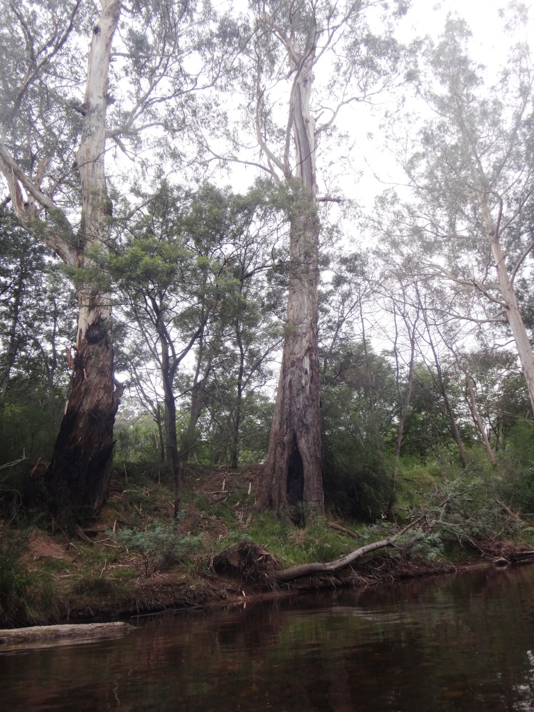 Wonnangatta River Pack Rafting