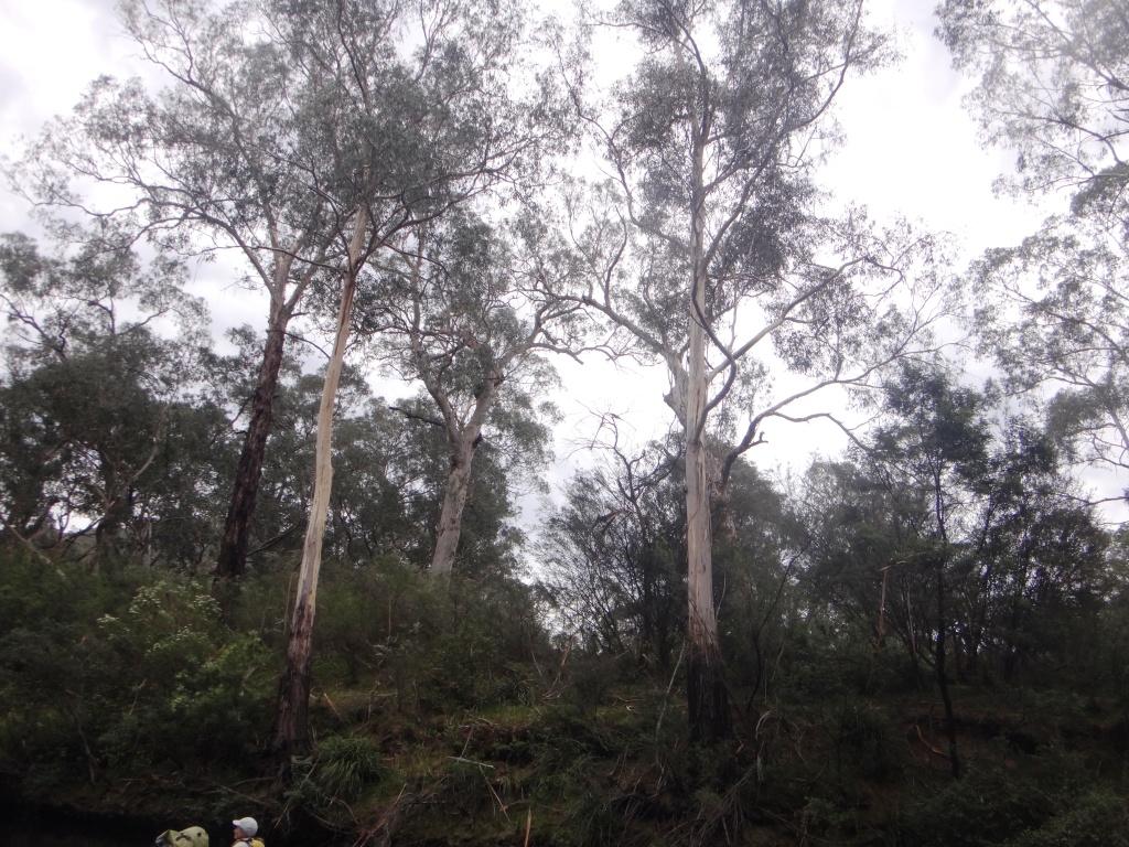 Wonnangatta River Pack Rafting