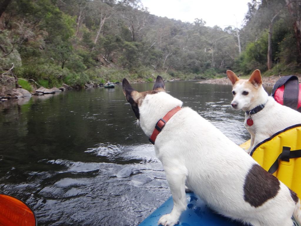 Wonnangatta River Pack Rafting