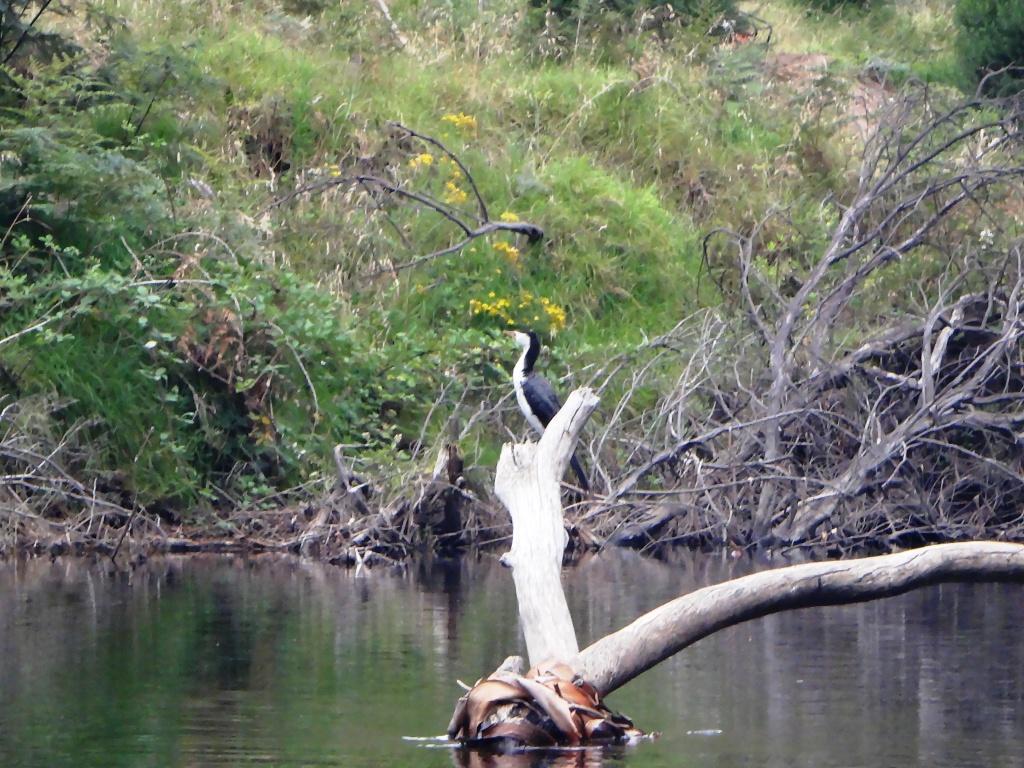 Wonnangatta River Pack Rafting
