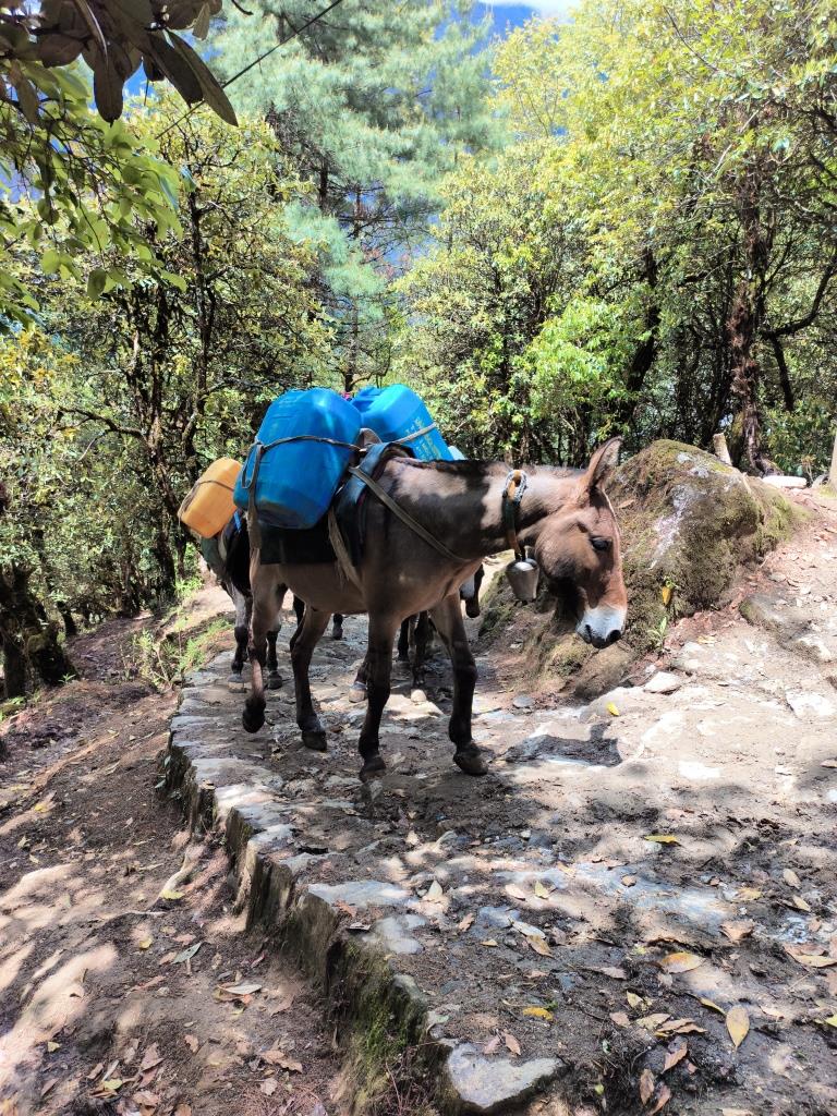Everest Base Camp Trek