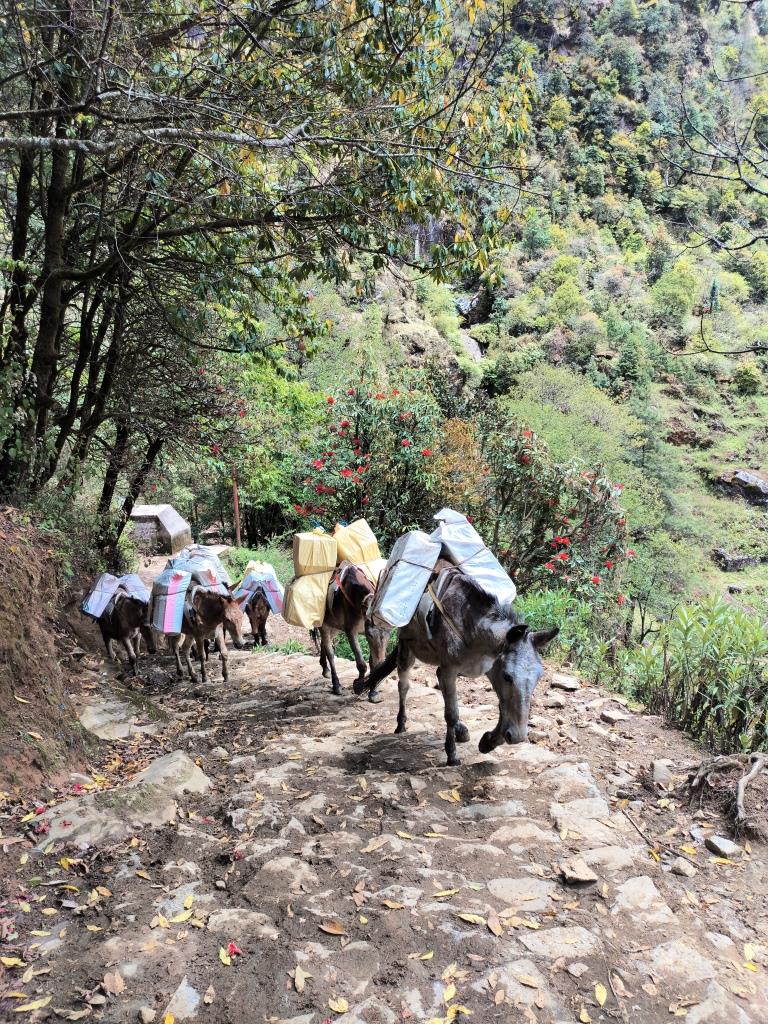 Everest Base Camp Trek