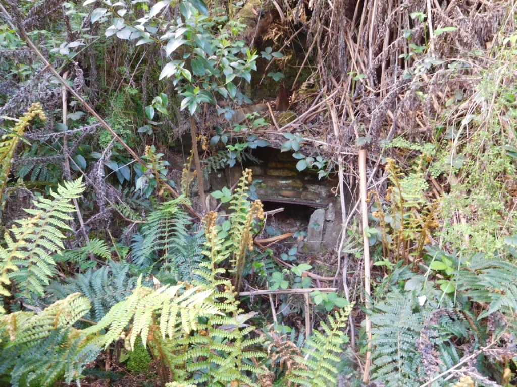 Wilderness Hut