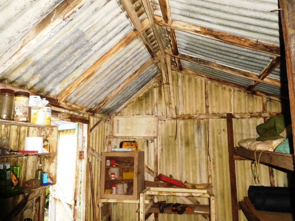Wilderness Hut